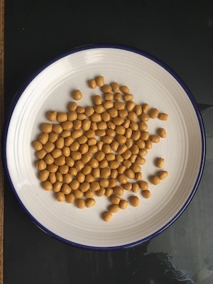 Bean Harvest Small plate filled with golden dried beans